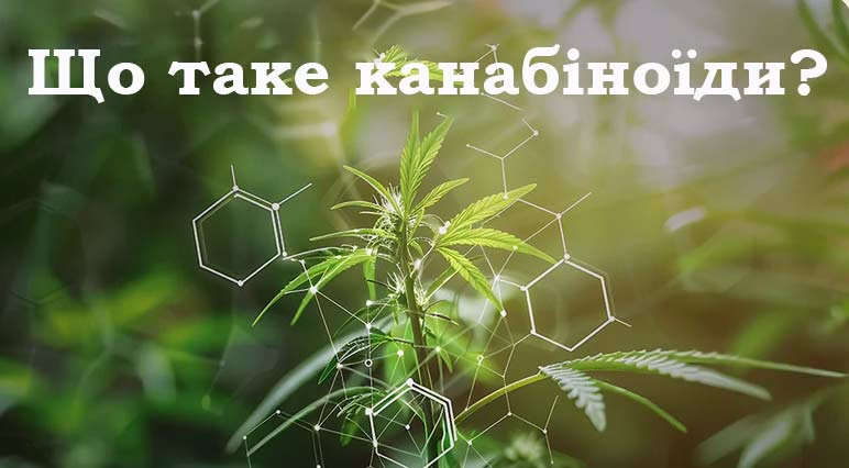 Що таке канабіноїди?