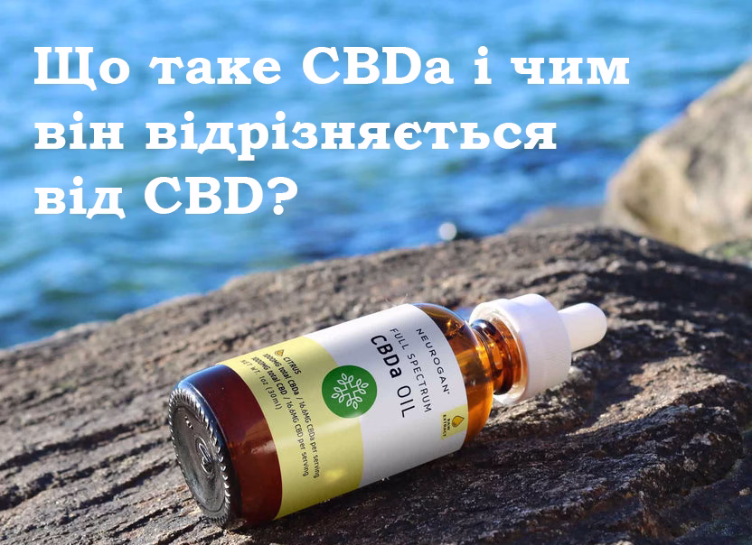 Що таке CBDa і чим він відрізняється від CBD?