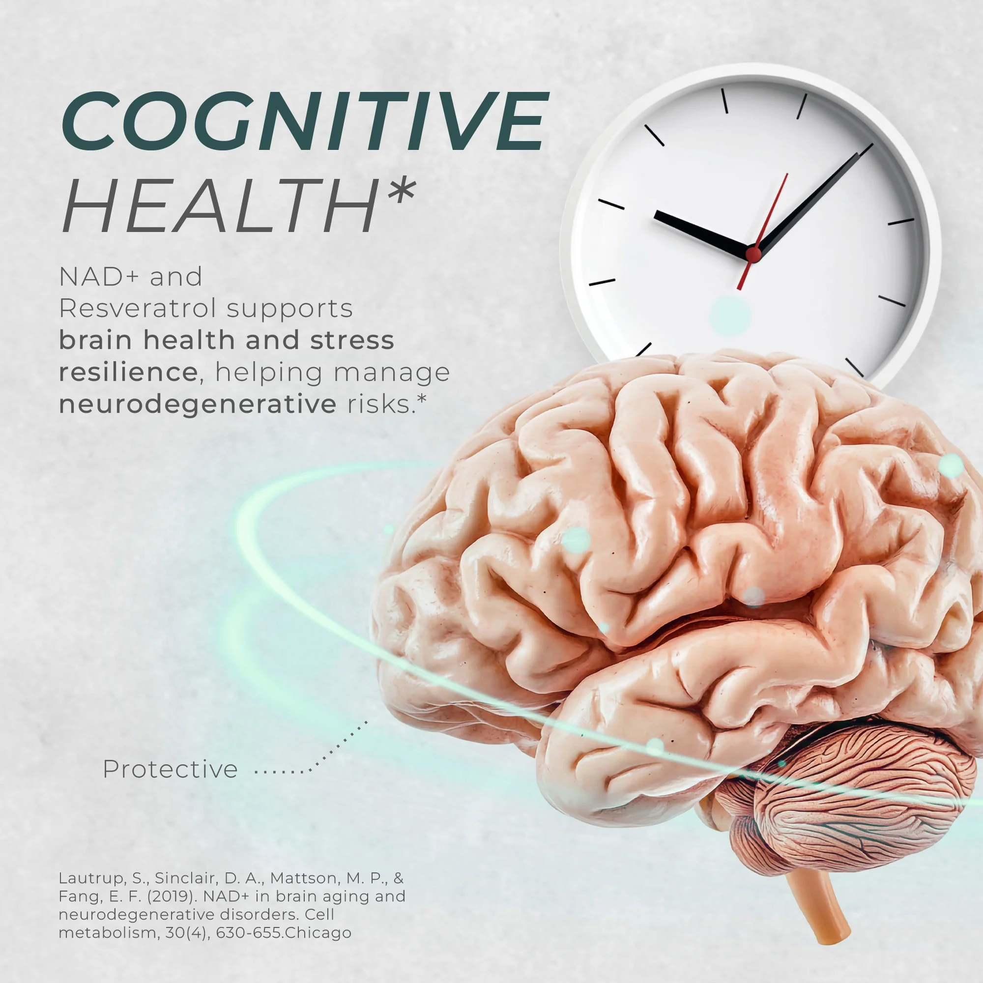 Neurogan NAD + Resveratrol для мозку