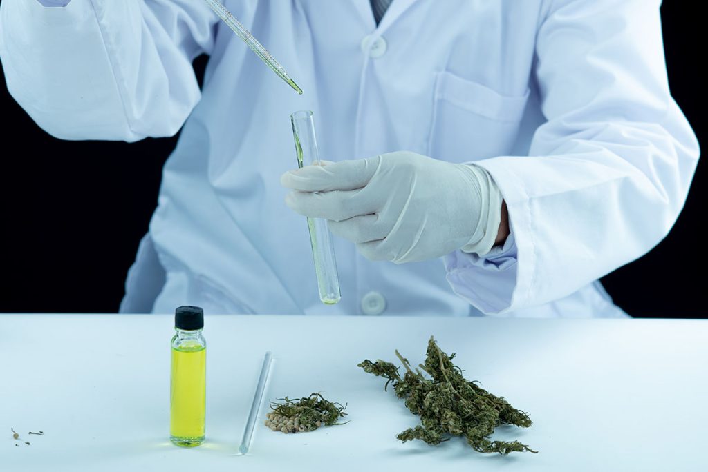 дослідження CBD 2025 / freepik.com