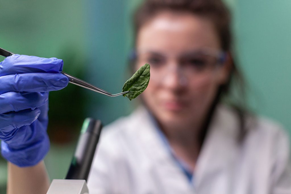 канабідіол клінічні випробування CBD
